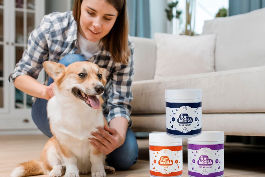 5 Natural Home Remedies to Soothe Your Dog's Itchy Skin