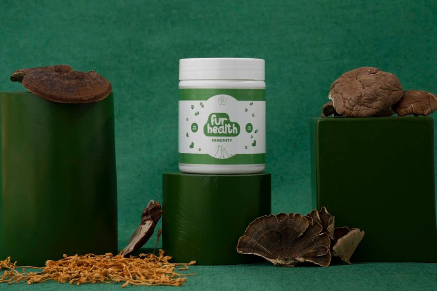 Built-In Prebiotics: The Hidden Benefit of Medicinal Mushrooms