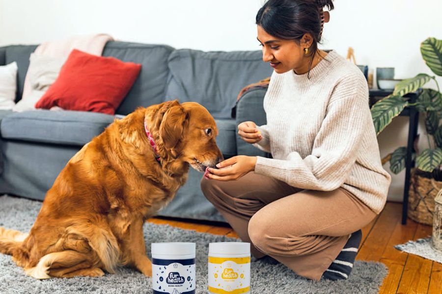 How Natural Supplements Can Improve Your Dog's Joints, Digestion & Overall Health