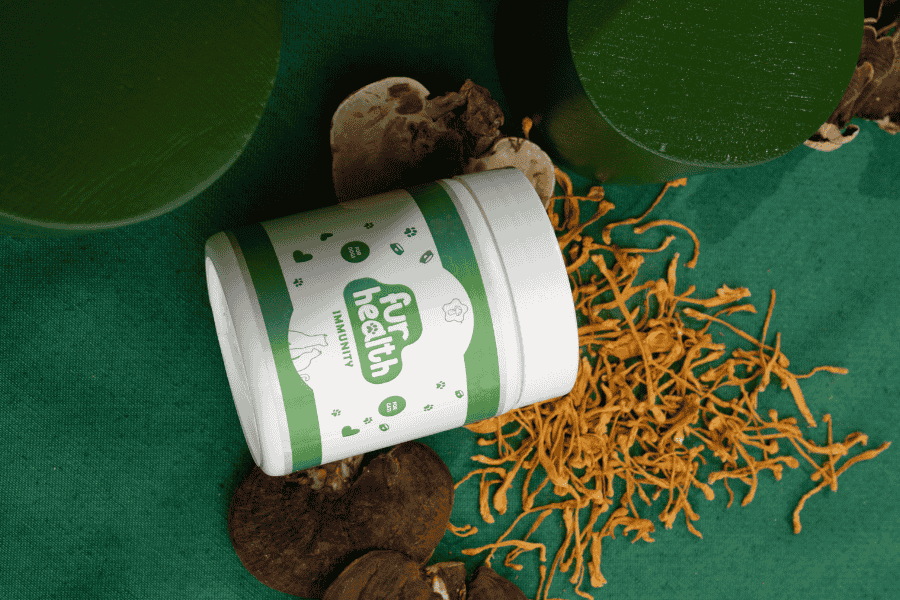 Medicinal Mushrooms for Cancer in Pets: Prevention. Resilience. Cure.