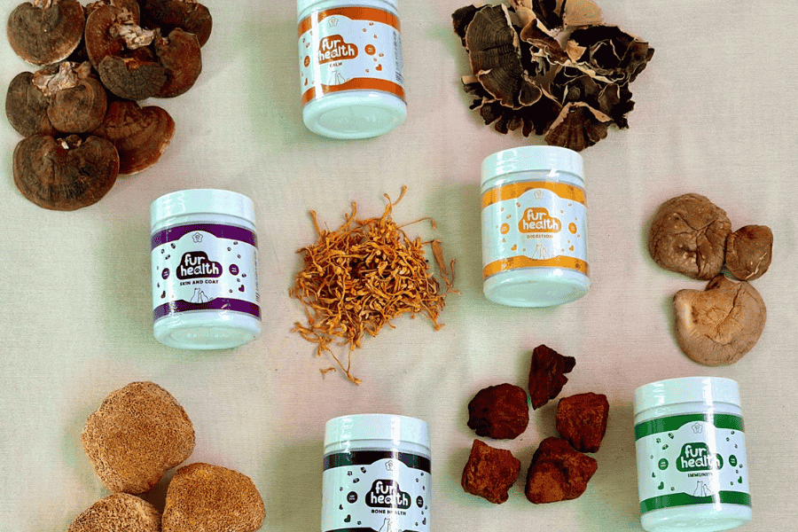 Why Medicinal / Functional Mushrooms for Pets?