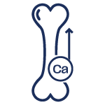 Flora Icon