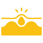 Flora Icon