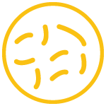 Flora Icon