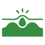 Flora Icon