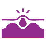 Flora Icon